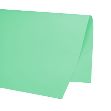 PAPEL CARTOLINA 